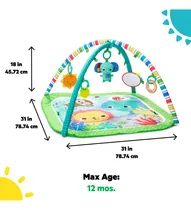Comprar Baby Einstein Activity Gym para bebés tapete de juegos para recién nacido