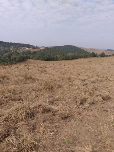 Imagem 5 de 10 de 08- Terreno De 10 Mil M2 Com Área De Preservação