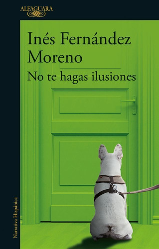 No Te Hagas Ilusiones -  Ines Fernandez Moreno, De Fernández Moreno, Inés. Editorial Alfaguara, Tapa Blanda En Español