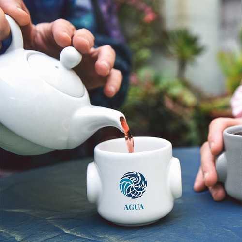 Tea Box 4 Elementos - Delhi Tea Premium