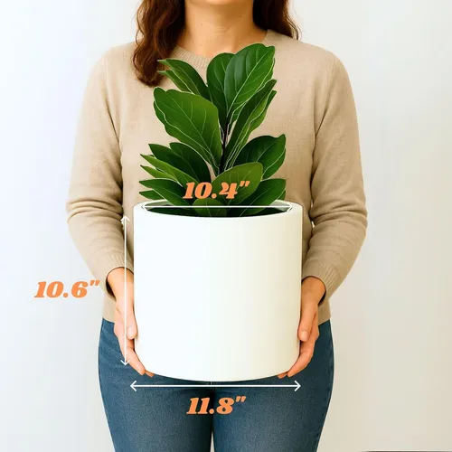 Maceta Grande Con Saucer Oculto Fox & Fern, 12 Pulgadas
