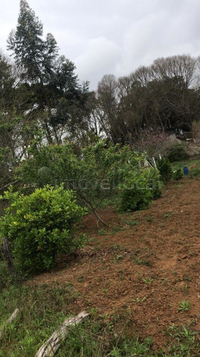 Imagem 13 de 14 de Chácara Com 3 Dormitórios À Venda Com 13800m² Por R$ 489.000,00 No Bairro Cerro Verde - Quitandinha / Pr - Ch0003