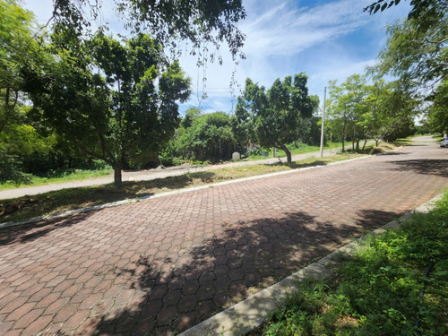 Venta De Lote San Diego 53 Mz Xvi Muy Cerca Del Acceso Y Sobre Av Principal Con Bonita Vista En Fracc Rancho San Diego Ixtapan De La Sal Edomex