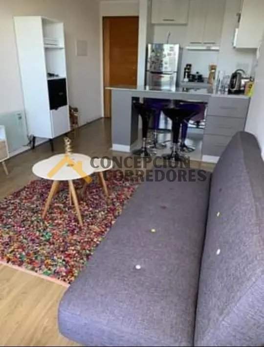 Imagen 4 de 7 de Vendo Departamento,en Condominio Michimalonco