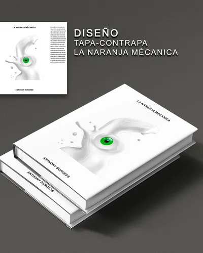 Técnico En Diseño Grafico Y Comunicación Visual