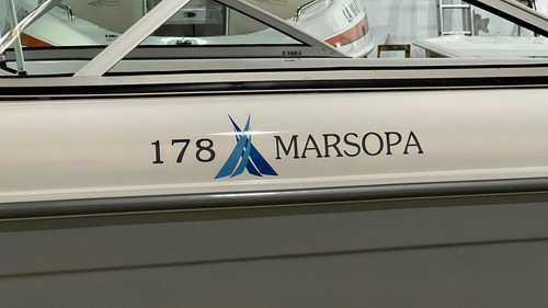 Imagen 5 de 7 de Marsopa