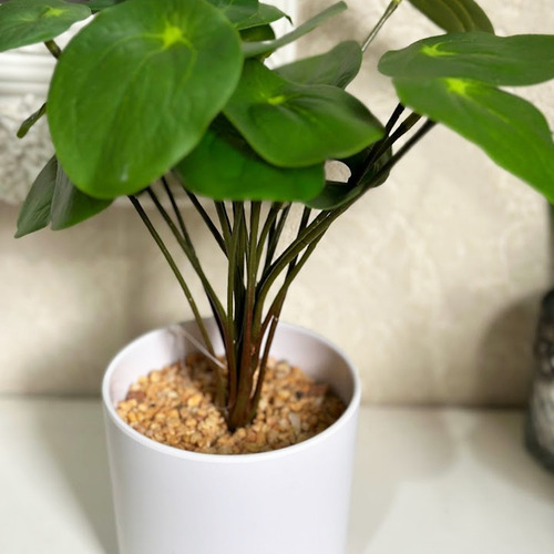 Planta Pilea Deco Plantas Artificiales Con Piedras Maceta