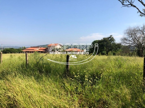 Imagem 4 de 8 de Ótima Chácara Em São Pedro. (código Ch00056) - Ch00056 - 70715263