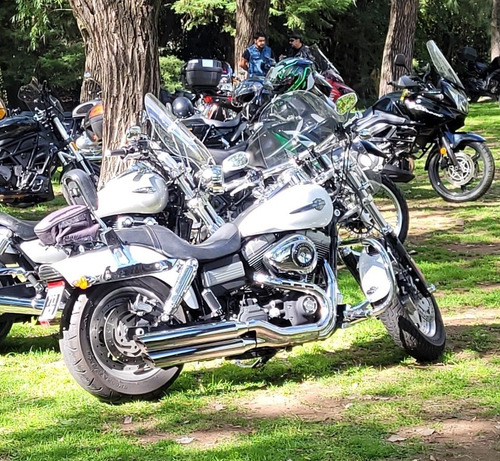 Imagen 10 de 11 de Harley Davidson Fat Bob 2011