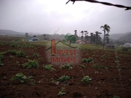 Imagem 2 de 4 de Terreno - Ref: 3454 - V-3454