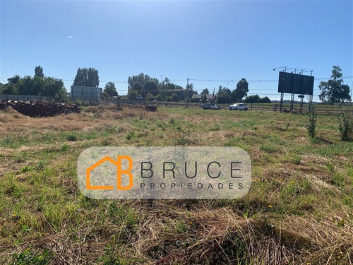 Sitio Industrial En Arriendo En Osorno