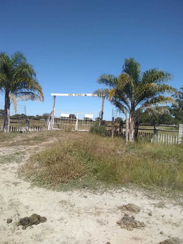 Campo Ganadero En Sauce Ctes