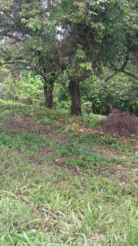 Venta Terreno 2000 M² Col. Tierra Blanca Tuxpan Veracruz.
