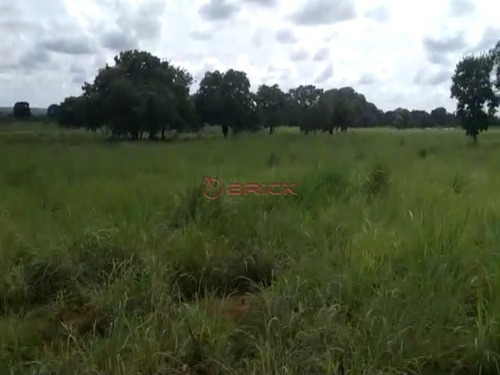 Imagem 6 de 9 de Fazenda Com 1.076,40 Hectares Na Região Duere, Tocantins. - Fa00023 - 69448240