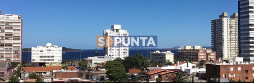 Imagen 1 de 11 de Apartamento En Venta - Brava