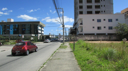 Imagem 5 de 10 de Terreno - Passa Vinte - Ref: 27226 - V-27225