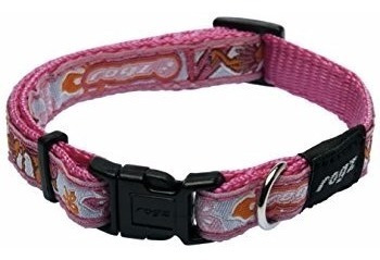 Rogz Jelly Bean Collar + Paseador , Talla Small