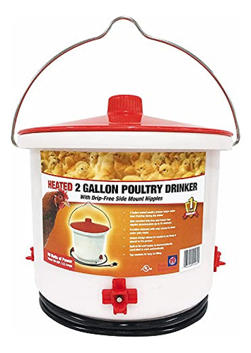 Farm Innovators Hb-60p Heated 2 Gallon Poultry Drinker