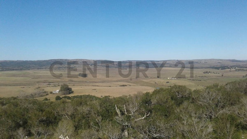 Atención Inversionistas!!!campo En Venta!  Sobre Ruta 8 A 3 Km De Villa Serrana!