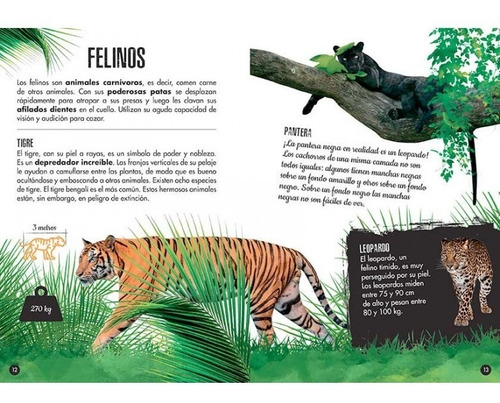 La Selva - El Elefante Col 3d Libro + Maqueta