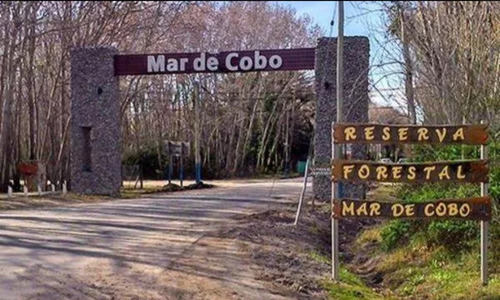 Terreno Mar De Cobo