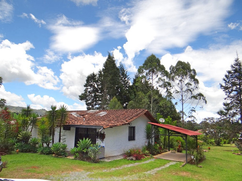 Finca En Venta Guarne 4.500 M2 Terreno Plano. Sm