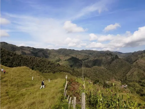 Lote En Venta De 1.386 M2, Concepción