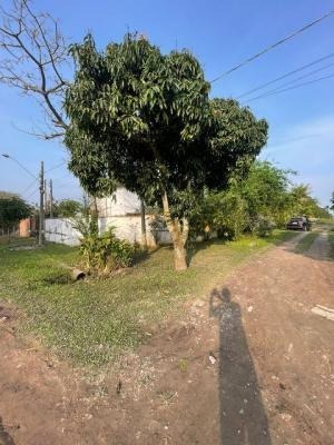 Imagem 3 de 9 de Chácara No Bairro Jardim Palmeiras 8689