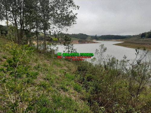 Imagem 14 de 15 de Chácara 15 Mil M² Em Paraibuna- Beira Da Represa - 2221