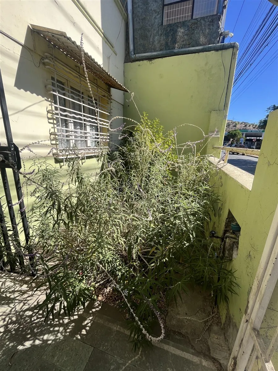 Imagen 5 de 30 de Casa En Venta Centro 1 Cuadra De La Plaza 4d1b