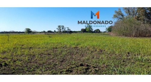 Imagen 1 de 9 de Venta Campo Quinta