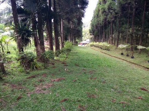 Fazenda Com Nascente - Ch00008