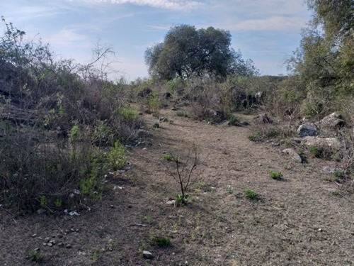 Imagen 2 de 10 de Vendo 1 Hectarea Apta Granja
