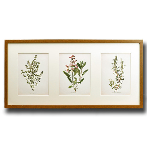 Cuadro Decoración Triple Plantas Hierbas 61x29 Cms