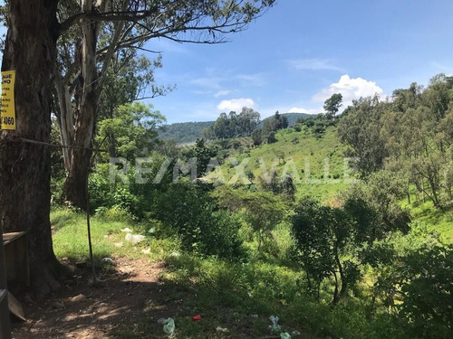 Imagen 10 de 14 de Terreno En Venta