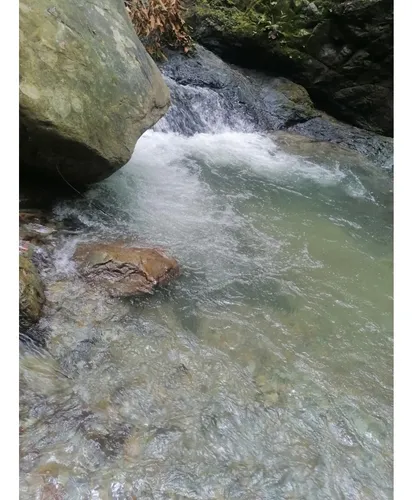 Se Vende Finca En Pijao - Quindío