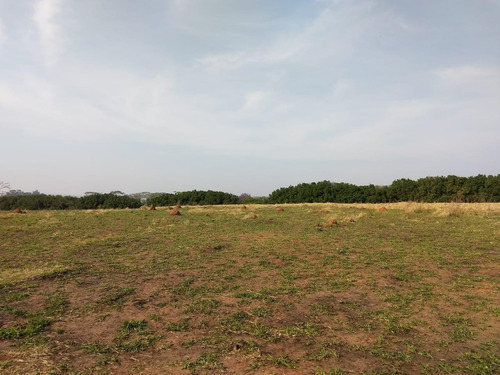 Área De 30.000 M2 Em Região Nobre Na Cidade De Catanduva-sp.