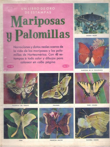 Un Libro De Oro De Etampas Galería Mariposas Y Palomilas