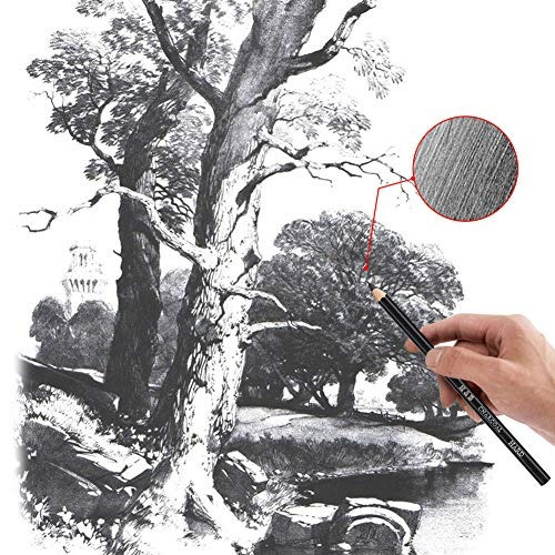 33 Pieza Lápices De Dibujo Kit Profesional Del Arte Con Ki
