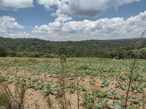 Imagem 27 de 30 de 20o Vende-se Terreno Por Apenas 35mil E 10mil De Entrada