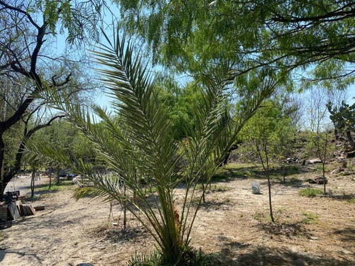 Imagen 5 de 5 de Terreno En Venta En Alamos Del Parque