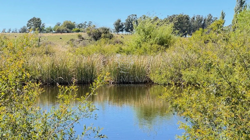 Campo 17 Has Con 9550 M2 Con Costa De Arroyo