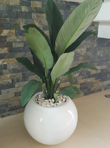 Maceta Burbuja Mediana De Fibra De Vidrio Blanca