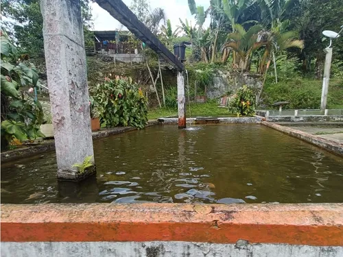 Se Vende Finca Chalet En Calarcá - Quindío