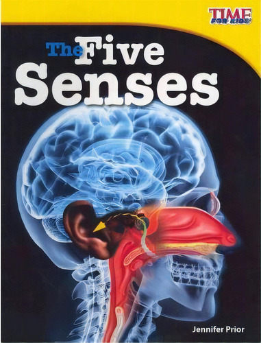 The Five Senses, De Jennifer Prior. Editorial Teacher Created Materials, Inc, Tapa Blanda En Inglés
