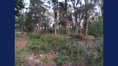 Imagen 7 de 26 de Venta Lote/terreno De 4955.50 M2 Cauquen 100 Altos De Manzano Villa La Angostura