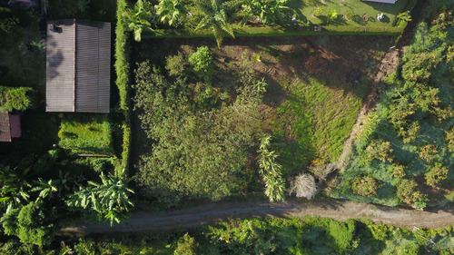 Imagem 7 de 8 de Lote / Terreno Em Cônego - Nova Friburgo - 217