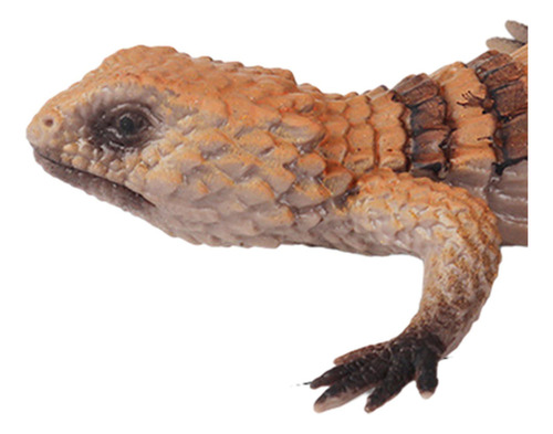 . Mini Figuras De Modelo Juguetes De Animales En Tipo D