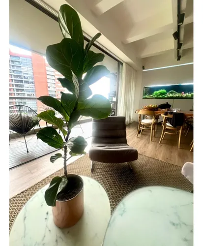 Apartamento Amoblado En Arriendo En El Poblado Parte Alta