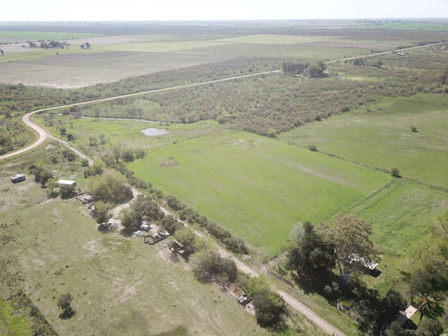 Imagen 15 de 20 de Chacra Sobre Ruta 20 Gualeguaychu!